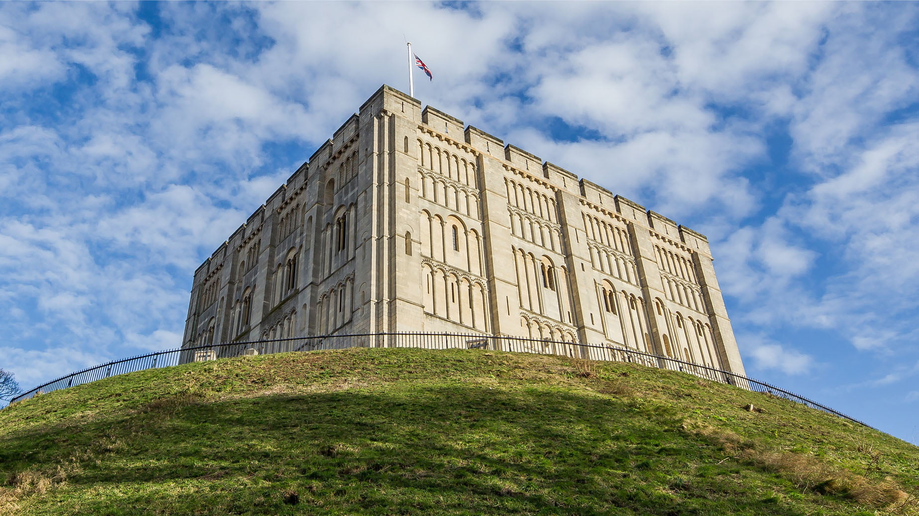 Fight or Flight at Norwich Castle - The Imagination Museum